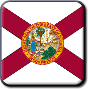 Florida State Flag Icon