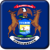 Michigan State Flag Icon
