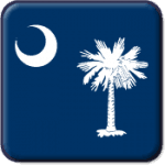 South Carolina State Flag Icon