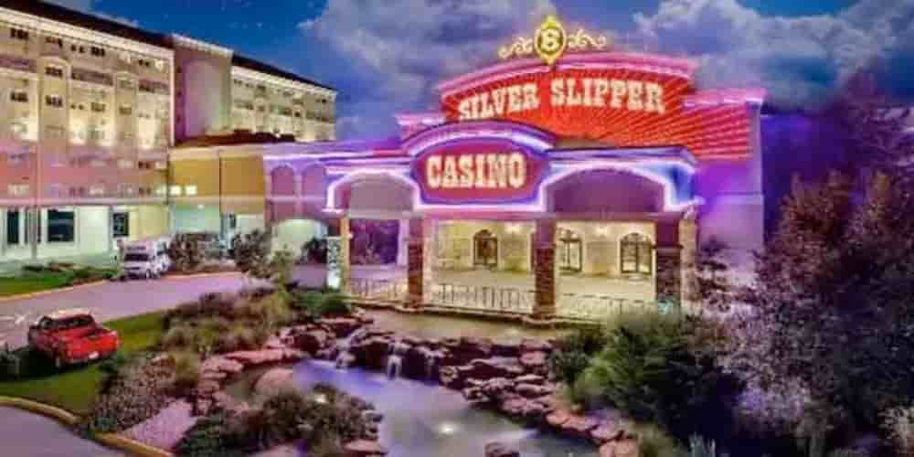 Silver Slipper